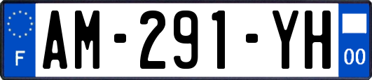 AM-291-YH