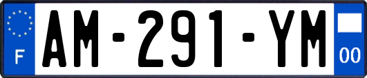 AM-291-YM