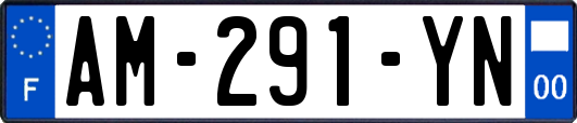 AM-291-YN