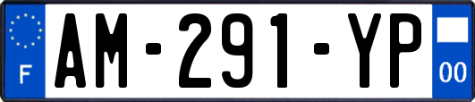 AM-291-YP