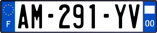 AM-291-YV