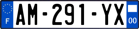 AM-291-YX