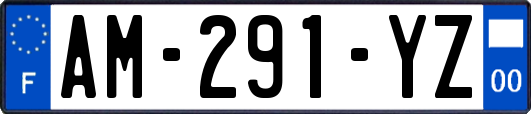 AM-291-YZ