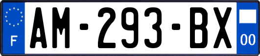 AM-293-BX