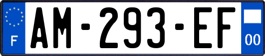 AM-293-EF