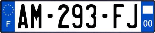 AM-293-FJ