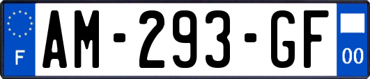 AM-293-GF