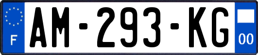 AM-293-KG