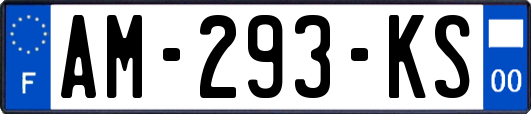 AM-293-KS