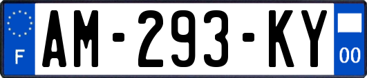 AM-293-KY