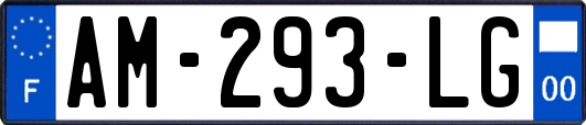 AM-293-LG