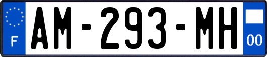 AM-293-MH