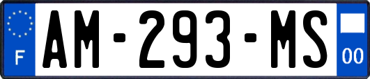 AM-293-MS