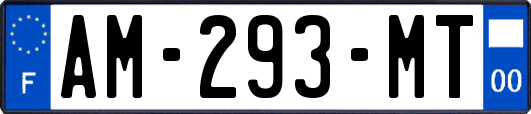 AM-293-MT