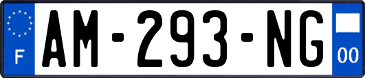 AM-293-NG