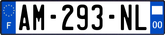 AM-293-NL