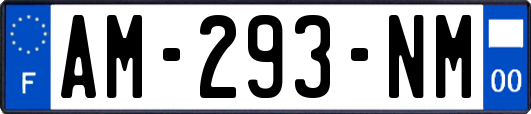 AM-293-NM