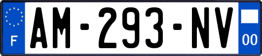 AM-293-NV