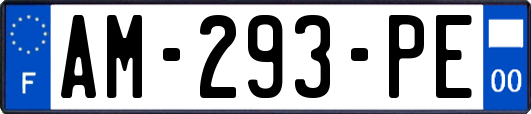 AM-293-PE