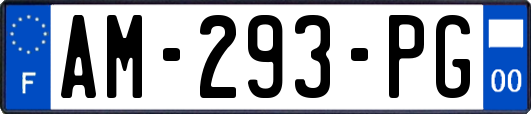 AM-293-PG