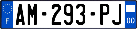 AM-293-PJ