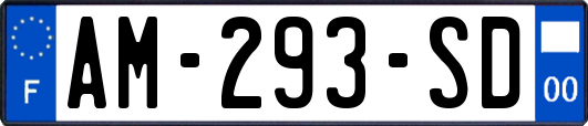 AM-293-SD