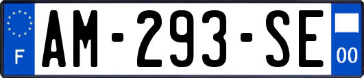 AM-293-SE