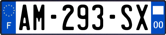 AM-293-SX