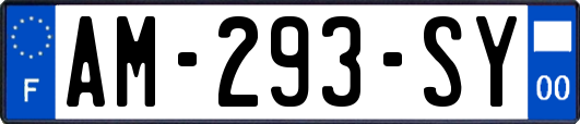 AM-293-SY