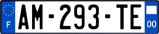 AM-293-TE