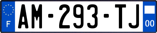 AM-293-TJ
