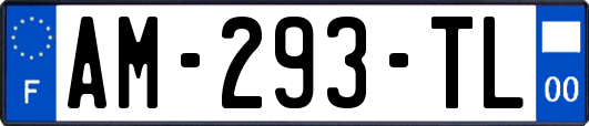 AM-293-TL