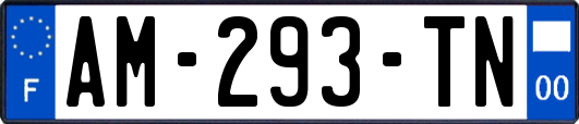 AM-293-TN