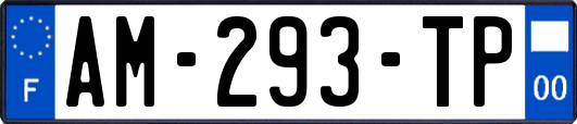 AM-293-TP