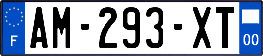 AM-293-XT