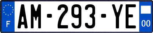 AM-293-YE