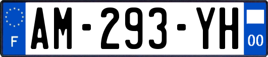 AM-293-YH