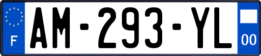 AM-293-YL