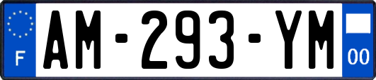 AM-293-YM