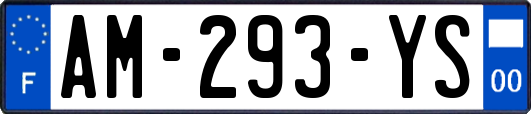 AM-293-YS