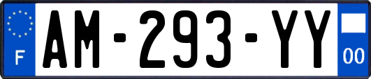 AM-293-YY