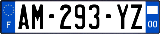 AM-293-YZ