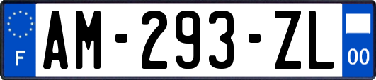 AM-293-ZL