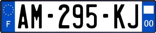 AM-295-KJ