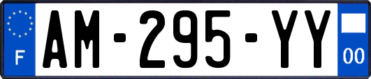 AM-295-YY