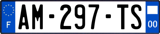 AM-297-TS