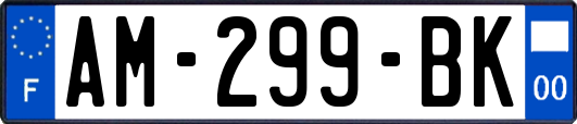 AM-299-BK