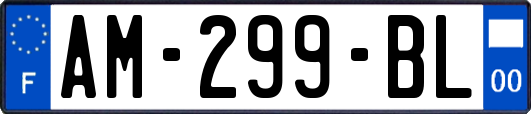 AM-299-BL