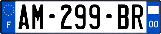AM-299-BR