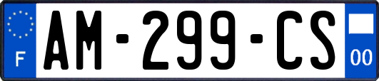 AM-299-CS
